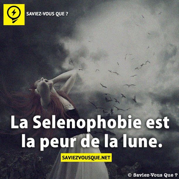 Le Saviez Vous La Selenophobie Est La Peur De La Lune Saviez Vous Que Citations Votre Source Numero 1 Pour Les Citations Et Proverbes