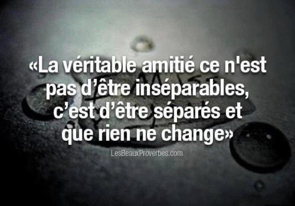 Belles Meilleurs Citations D Amitie Les Citations De Fin D Emission Page 145 Les Internautes Ont La Parole Forum Forum Toute Une Histoire Citations Votre Source