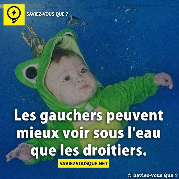 Le Saviez Vous Les Gauchers Peuvent Mieux Voir Sous L Eau Que Les Droitiers Saviez Vous Qu Citations Votre Source Numero 1 Pour Les Citations Et Proverbes