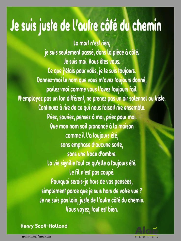 Belles Citations Sur Les Mamans Messages Citations Poemes Pour Le Deuil Aloe Fleurs Citations Votre Source Numero 1 Pour Les Citations Et Proverbes