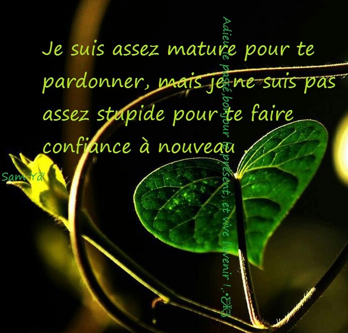 Citations Nouvelle Vie Oui Mais Qu Est Ce Qu Une Trahison Citations Votre Source Numero 1 Pour Les Citations Et Proverbes