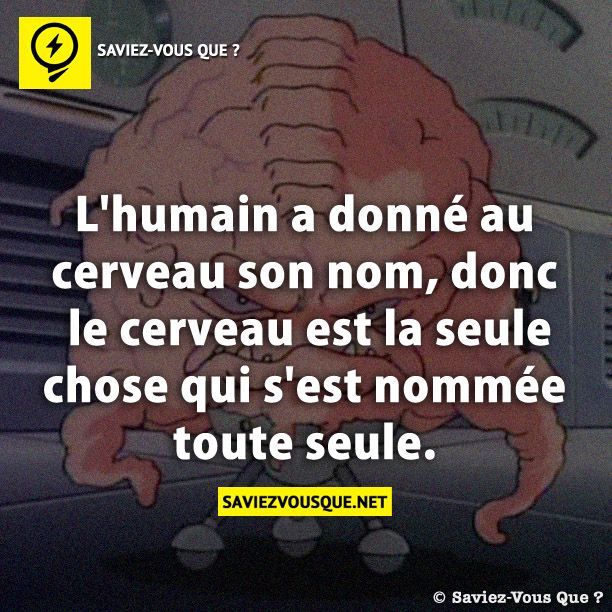 Le Saviez Vous L Humain A Donne Au Cerveau Son Nom Donc Le Cerveau Est La Seule Cho Citations Votre Source Numero 1 Pour Les Citations Et Proverbes