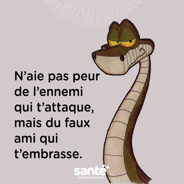 Les Plus Beaux Proverbes A Partager Avoir Peur Du Faux Ami Qui T Embrasse Plus Citations Votre Source Numero 1 Pour Les Citations Et Proverbes