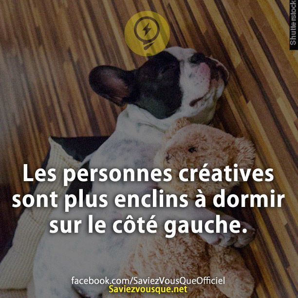 Le Saviez Vous Les Personnes Creatives Sont Plus Enclins A Dormir Sur Le Cote Gauche Sav Citations Votre Source Numero 1 Pour Les Citations Et Proverbes