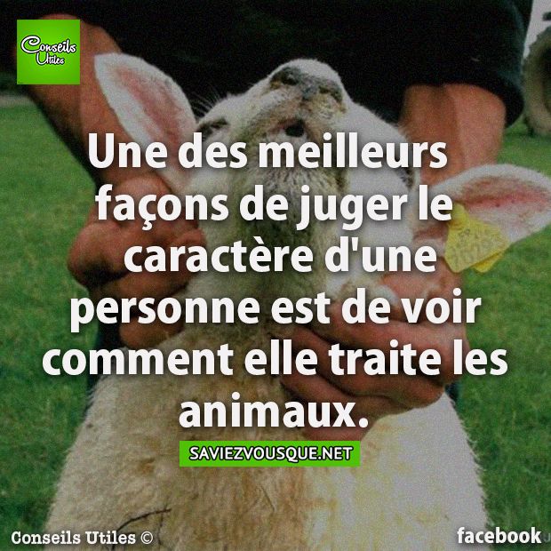 Le Saviez Vous Une Des Meilleurs Facons De Juger Le Caractere D Une Personne Est De Voir Comment Elle Traite Les Animaux Citations Votre Source Numero 1 Pour Les Citations Et Proverbes