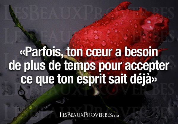 51fb1e0626e0c3a0c3e23f159add9487 Coeur Dalene Real Quotes Jpg Citations Votre Source Numero 1 Pour Les Citations Et Proverbes