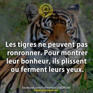 535db5669acb3d152f3f0ac Nature Sauvage Animale Jpg Citations Votre Source Numero 1 Pour Les Citations Et Proverbes