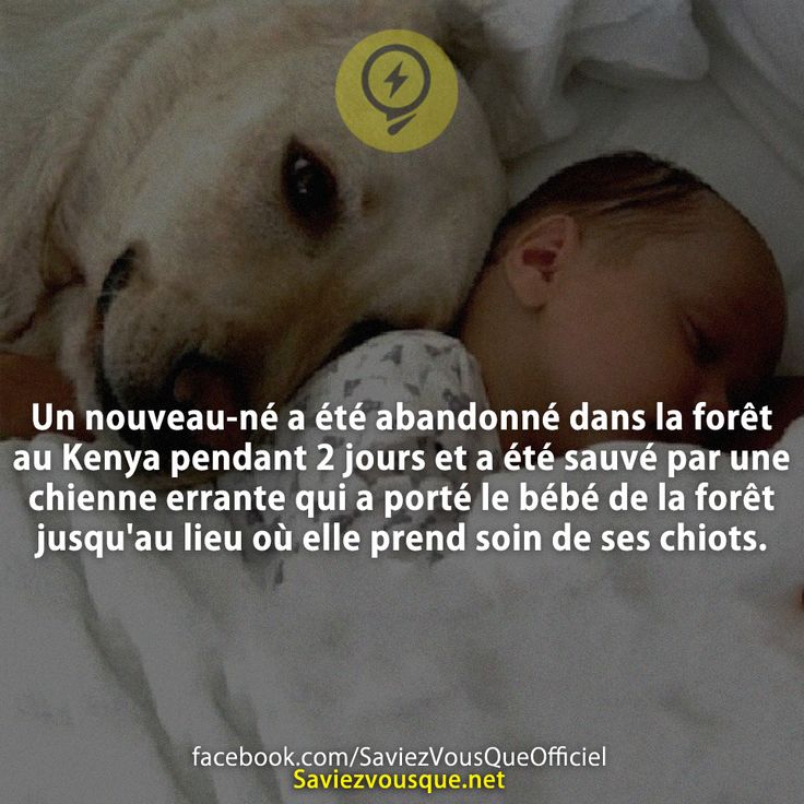 Le Saviez Vous Un Nouveau Ne A Ete Abandonne Dans La Foret Au Kenya Pendant 2 Jours Et A Ete Sauve Par Une Chienne Errante Qui A Porte Le Bebe De La Foret