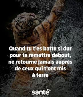 Les Plus Beaux Proverbes A Partager Jamais Ne Retourner Vers Eux Citations Votre Source Numero 1 Pour Les Citations Et Proverbes