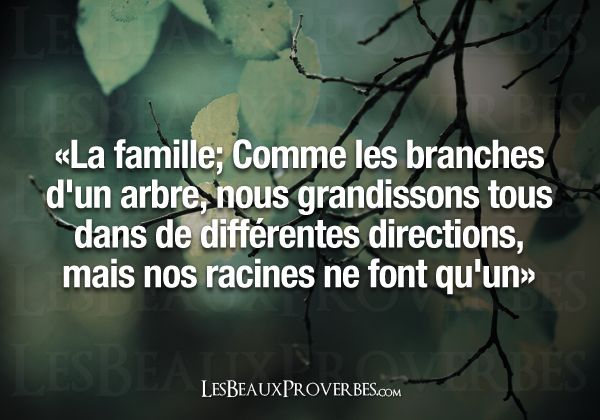 Les Plus Beaux Proverbes A Partager Les Beaux Proverbes Proverbes Citations Et Pensees Positives La Fami Citations Votre Source Numero 1 Pour Les Citations Et Proverbes