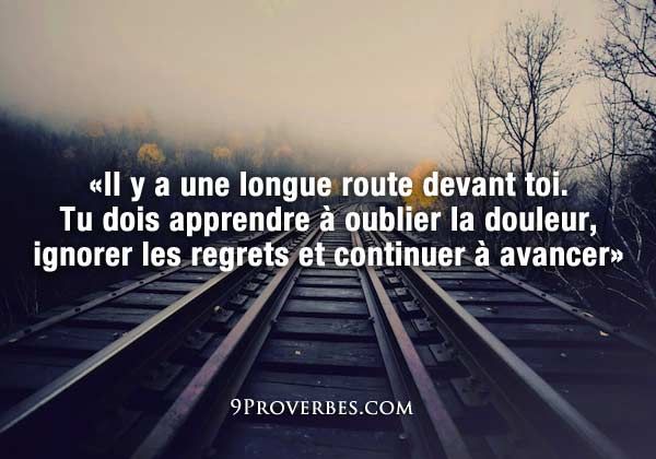 Les Plus Beaux Proverbes A Partager Proverbes Citations Et Pensees Positives Citations Votre Source Numero 1 Pour Les Citations Et Proverbes