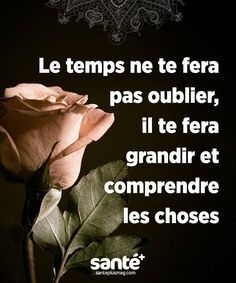 Les Plus Beaux Proverbes A Partager Citations Vie Amour Couple Amitie Bonheur Paix Esprit Sante Jeprends Citations Votre Source Numero 1 Pour Les Citations Et Proverbes