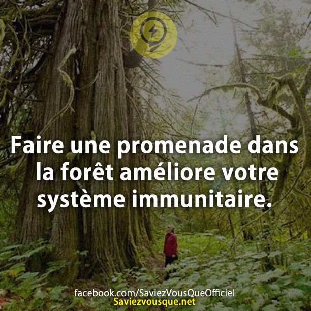 Le Saviez Vous Faire Une Promenade Dans La Foret Ameliore Votre Systeme Immunitaire Savie Citations Votre Source Numero 1 Pour Les Citations Et Proverbes