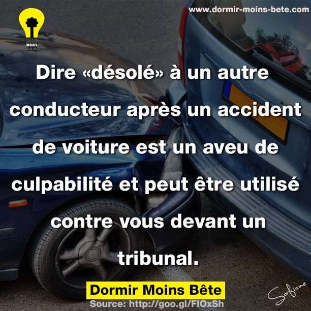 Le Saviez Vous Dire Desole A Un Autre Conducteur Apres Un Accident Est Un Aveu Citations Votre Source Numero 1 Pour Les Citations Et Proverbes