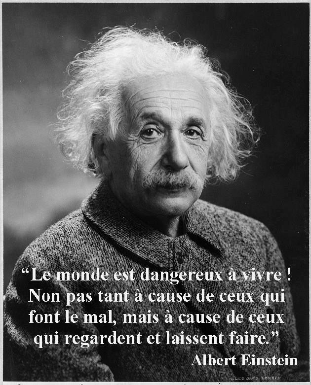 Les Plus Beaux Proverbes A Partager Indifference Le Monde Est Dangereux Citation De Francais Citations Votre Source Numero 1 Pour Les Citations Et Proverbes