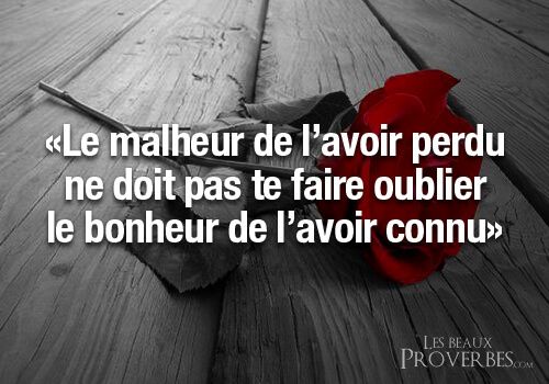 Les Plus Beaux Proverbes A Partager Les Beaux Proverbes Proverbes Citations Et Pensees Positives N Oub Citations Votre Source Numero 1 Pour Les Citations Et Proverbes